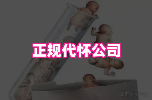 厦门助孕网站 2